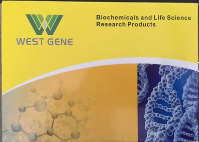 2× Probe Premix UrTaqTM   II(探针法)