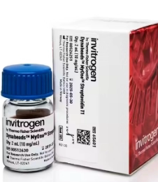 ThermoFisher 65002 Dynabeads™ MyOne™ 链霉亲和素 T1 10ml