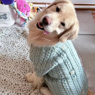 集合 DOG DEPT金毛衣服孤品断码 特价 胸围88左右金毛80斤 10码
