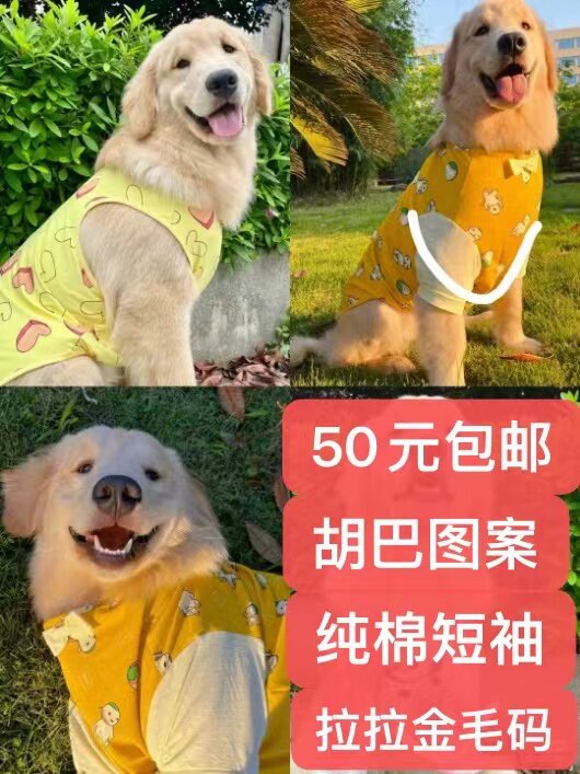 【断码特价大狗衣服】可爱米奇绅士领结纯棉T恤金毛拉不拉多萨摩