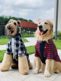 DOG 格仔假两件衬衣大狗衣服金毛巨贵休闲范杜宾宠物外套 DEPT