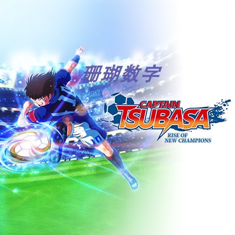 队长小翼 新秀崛起 免 steam 离线版 学习版 全DLC 中文 v1.46.1