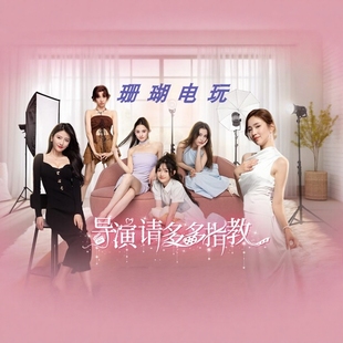 导演，请多多指教 免 steam 离线版 学习版 中文