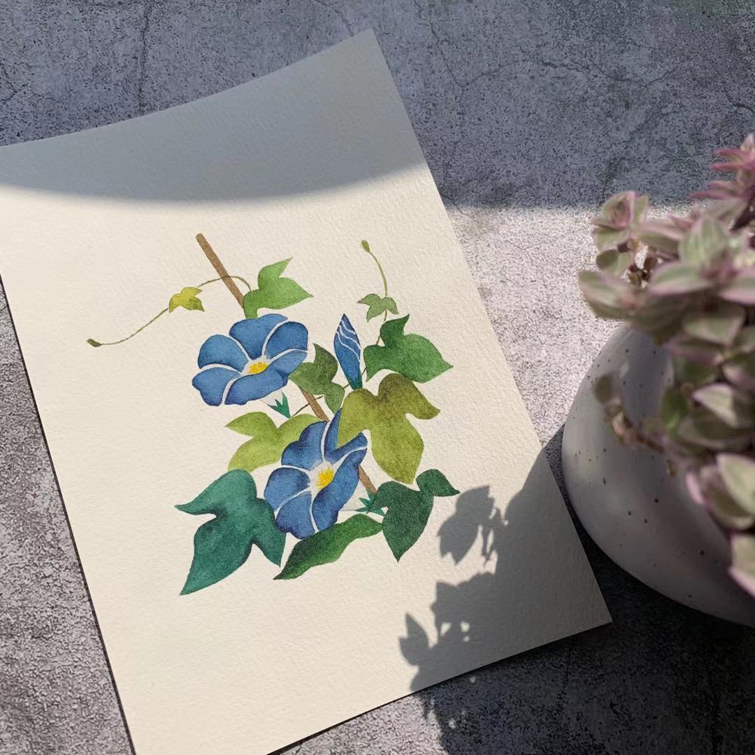 【三猫手绘】水彩画作品《牵牛花》装饰画