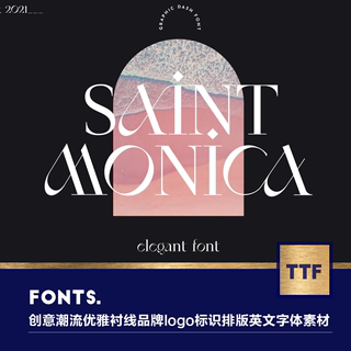 现代优雅奢华艺术杂志标题海报Logo衬线酸性英文字体font素材