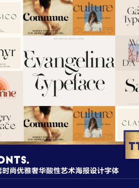 10套时尚优雅奢华酸性创意艺术海报杂志婚礼视频字体font设计素材