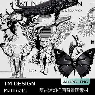 写实风格 插画豹子大象鲸鱼蝴蝶花卉黑色线条插画质感肌理背景素材