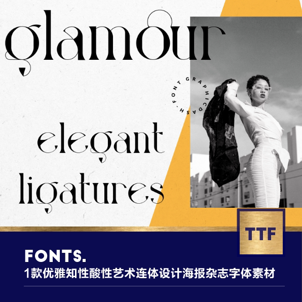 1款高端优雅知性酸性艺术连体设计海报杂志font字体素材