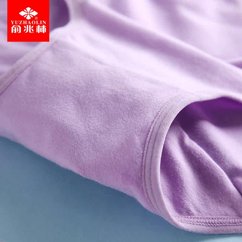 Slip jeunesse Y933-18 en coton - Ref 668073 Image 5