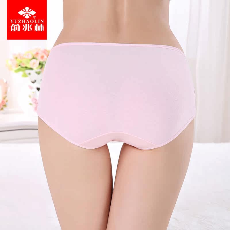 Slip jeunesse Y933-18 en coton - Ref 668073 Image 3