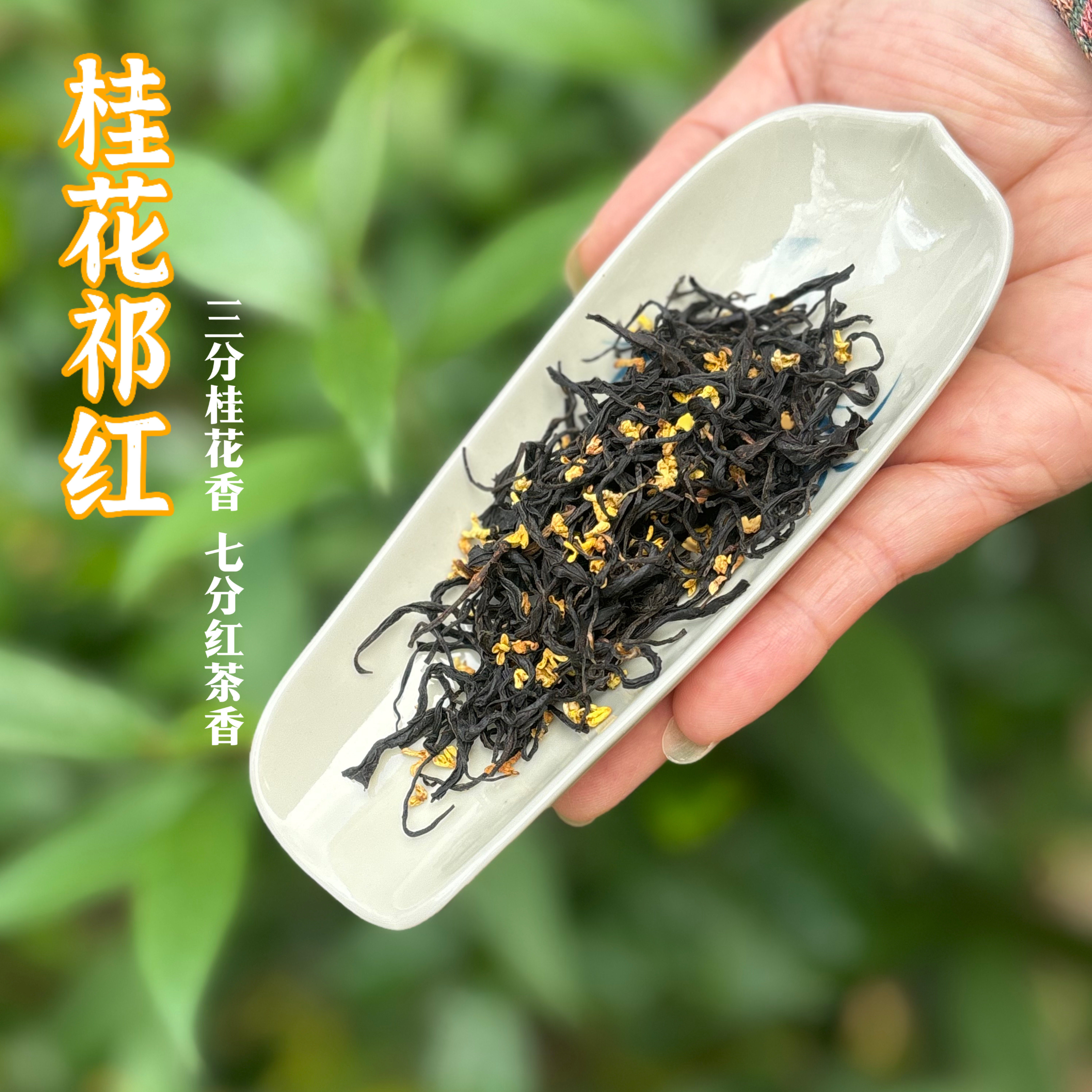 桂花毛峰 祁门红茶 历口产区  香甜醇厚16泡48克装包邮