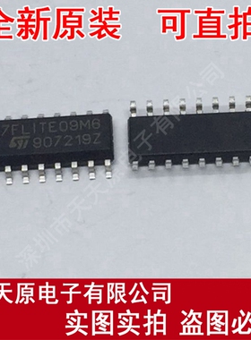 ST7FLITE09M6	SOP16
 原装正品100% 现货直拍 量大价优