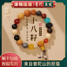 【普陀山官方】十八籽手串正品18子籽手链多宝菩提手串法物处直发