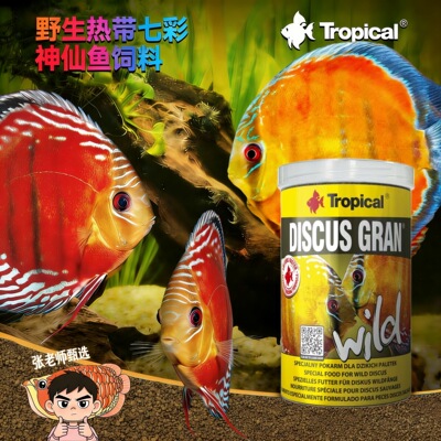 Tropical卓必客七彩神仙野彩南美鱼酱果主食粮饲料颗粒增艳促发色