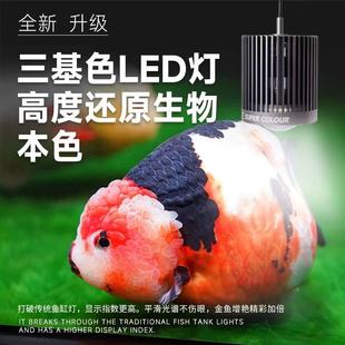 马印超色筒灯射灯全光谱LED鱼缸金鱼灯专用爆藻增色水草灯兰寿灯