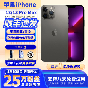 国行双卡5G Apple Promax iPhone12 苹果13Promax苹果13手机 苹果