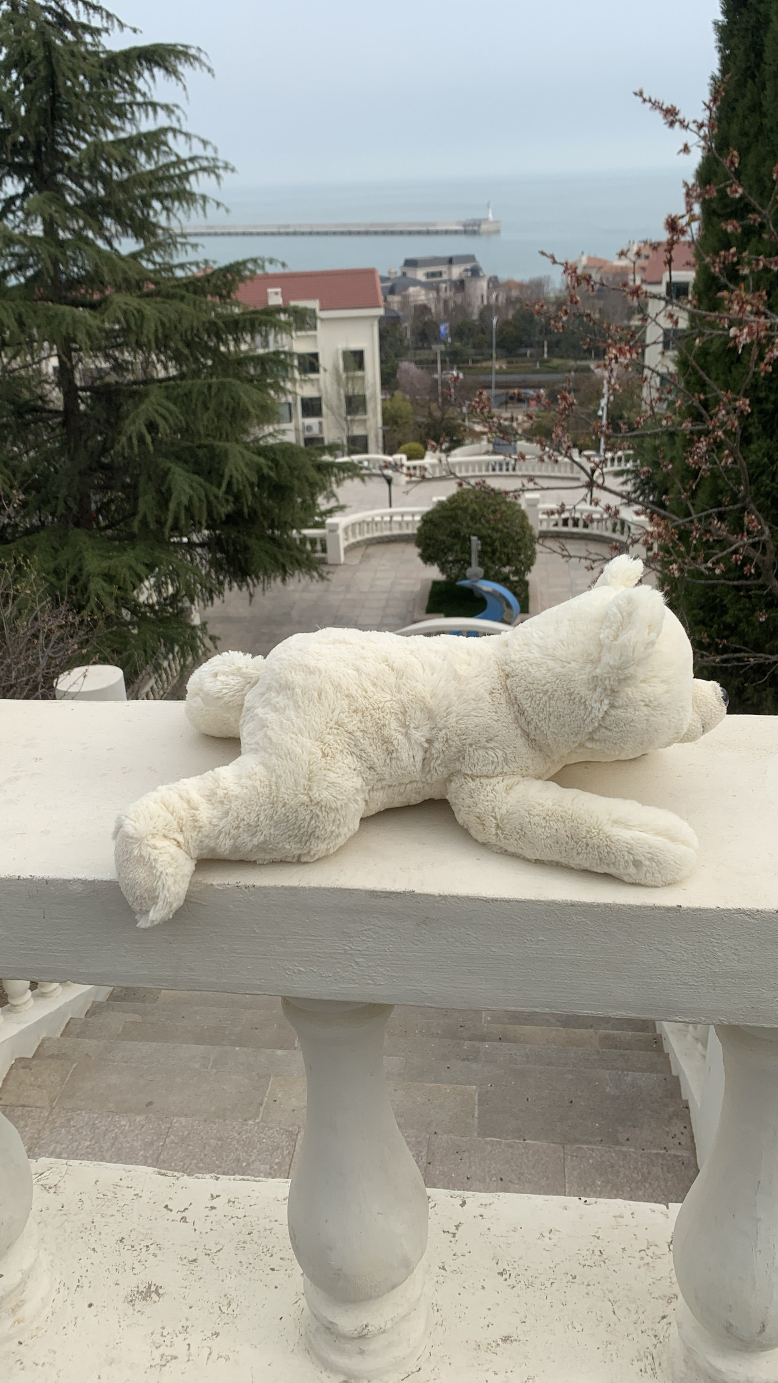 240410外贸出口原单老款美国趴姿小熊熊公仔正版毛绒玩具全长45cm