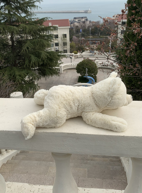 240410外贸出口原单老款美国趴姿小熊熊公仔正版毛绒玩具全长45CM