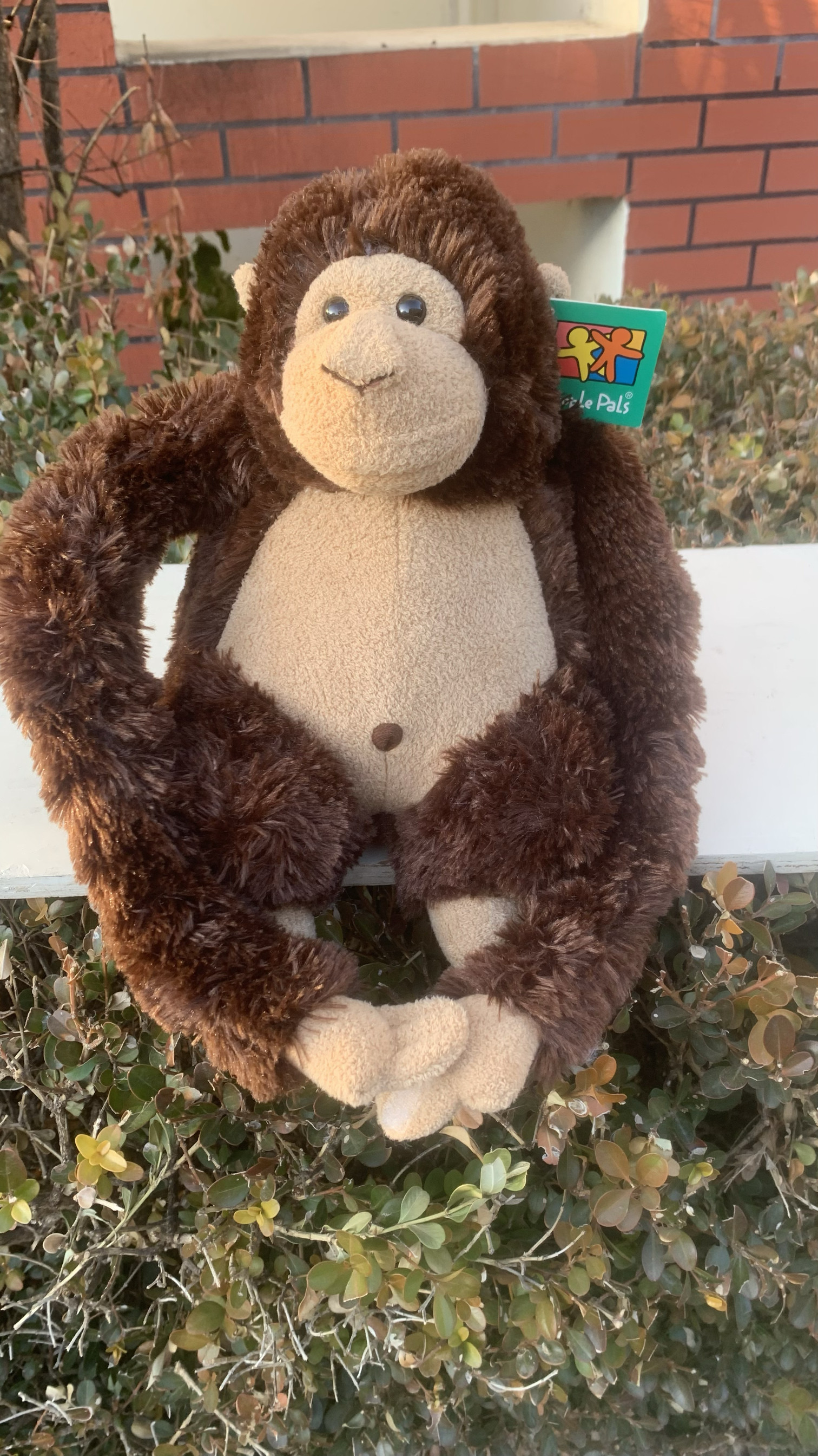 AURORA高30绒布长胳膊猴子修补款