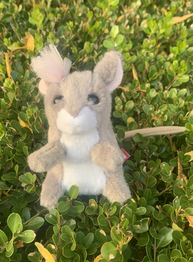 0625外贸出口原单老款DOUGLAS戴花小老鼠公仔正版毛绒玩具高12CM