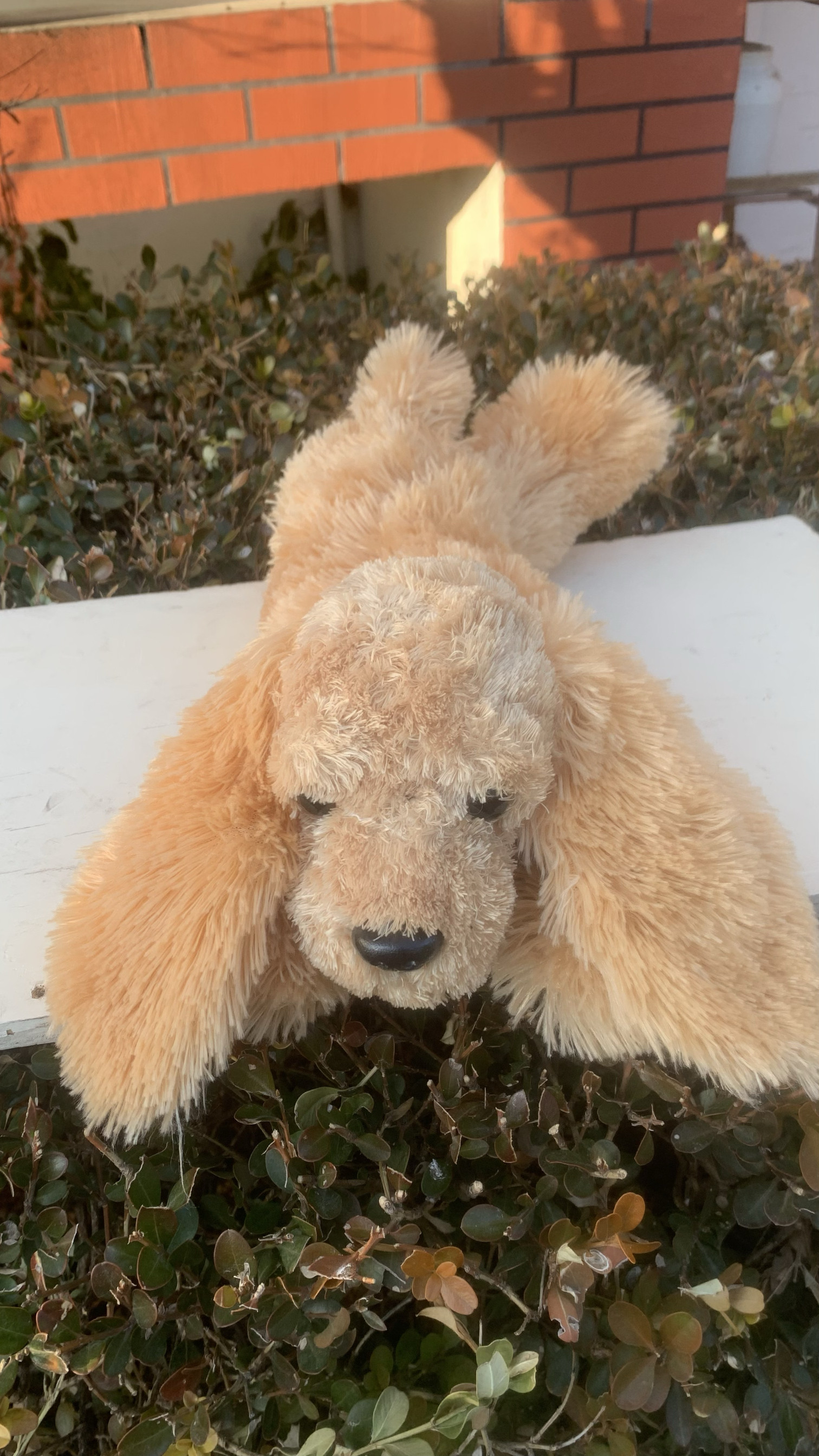 孤品美国宠物大耳朵狗狗公仔