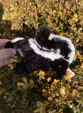 250209AURORA美国原单黑色猫鼬公仔外贸出口正版毛绒玩具长30CM