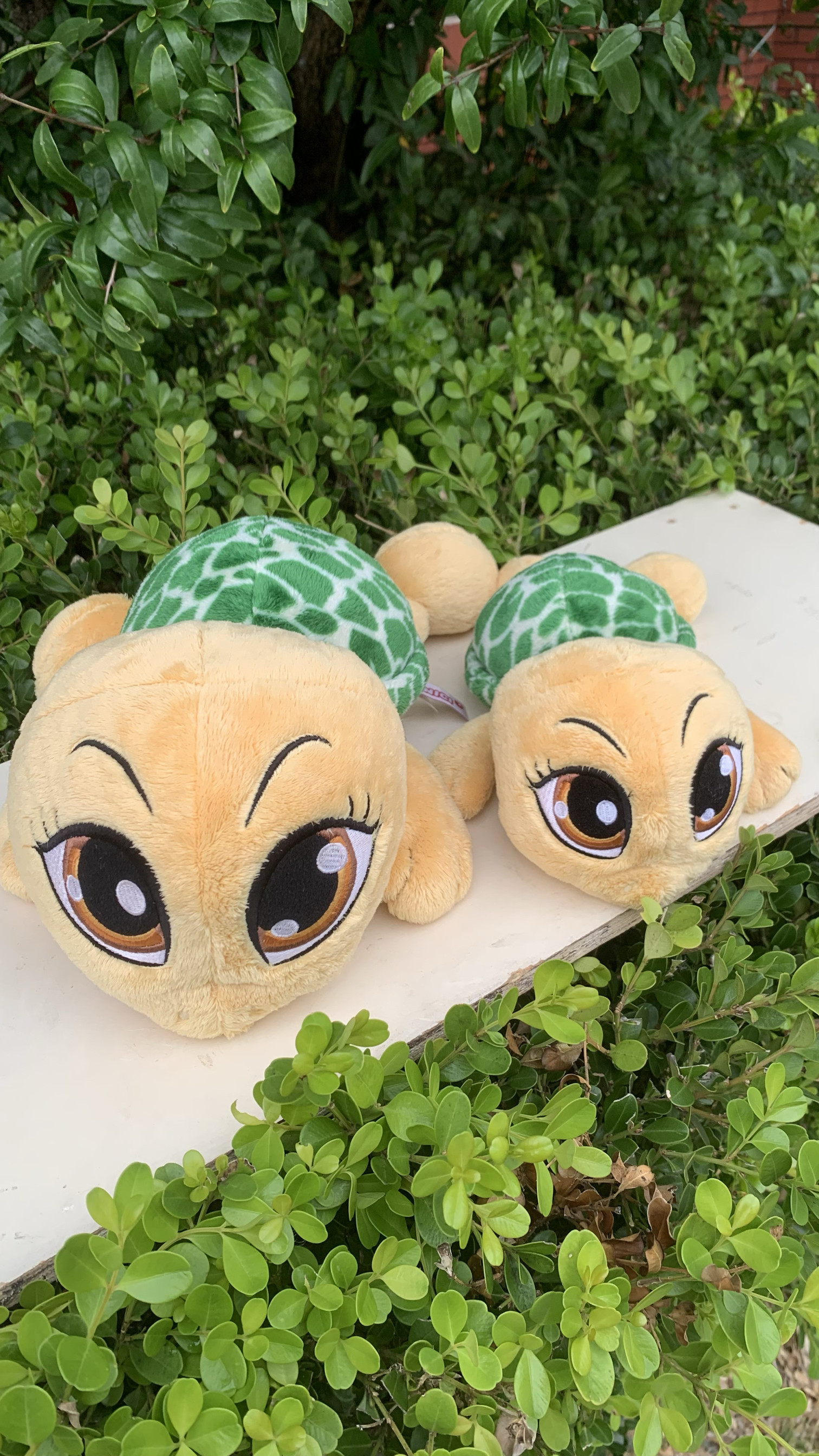 孤品原单德国NICI蜜糖系列趴姿大眼乌龟公仔正版毛绒玩具长35CM