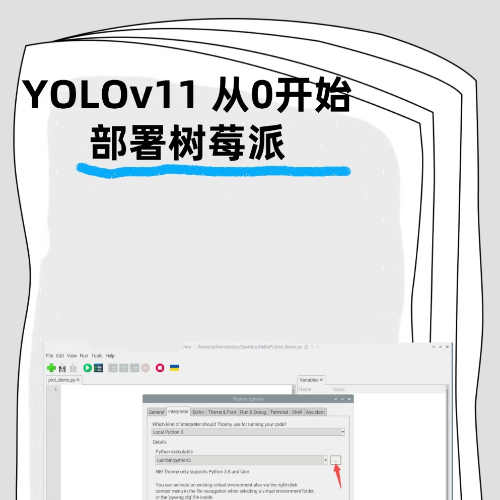 yolo目标检测yolov11部署树莓派yolov5_deepsort跟踪计数