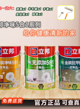 立邦抗甲醛竹炭金装五合一5合1