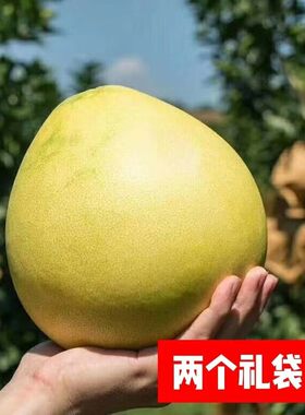 正宗梅州大埔红心蜜柚新鲜时令水果老树红柚果园直销两个礼盒装