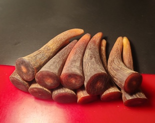 M06天然西藏血色牦牛角原料 佛珠扳指烟嘴挂件雕刻实心牛角尖原料