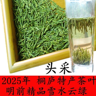 杭州桐庐雪水云绿茶叶头采精品尊品2025年新绿茶明前特级针形100g