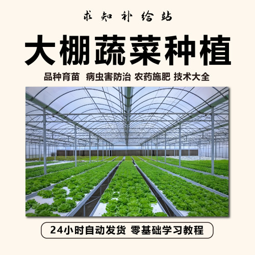大棚蔬菜种植技术大全 无公害无土栽培病虫防治视频教程PPT课件
