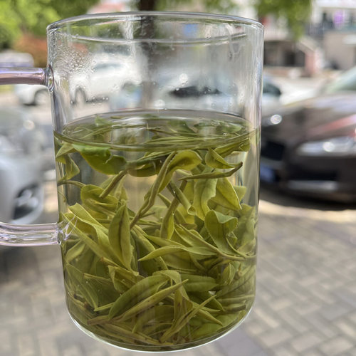 珍稀特级茶叶安吉白茶新茶散装