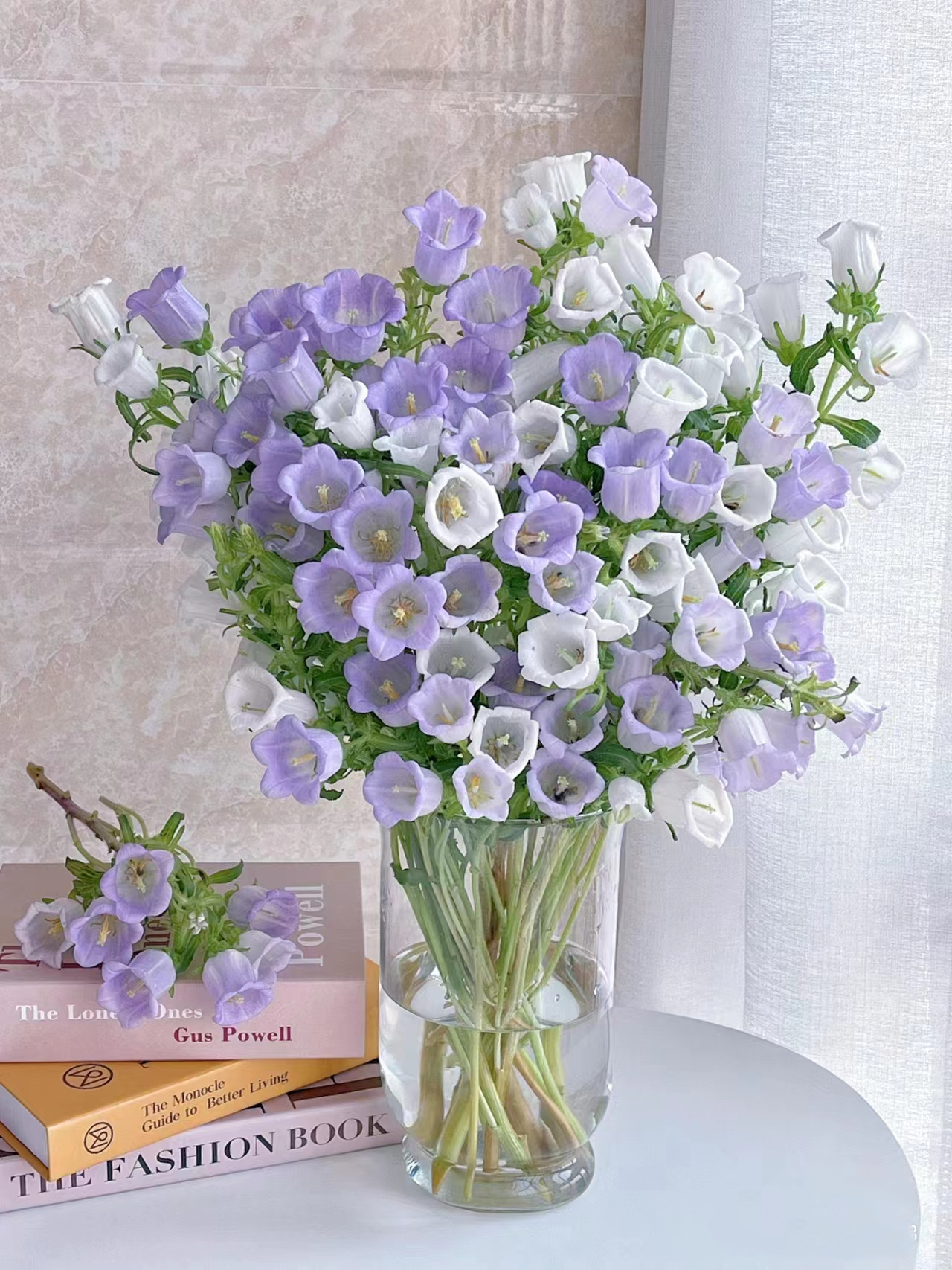 风铃花鲜花斗南直发云南基地花卉花束花瓶插花鲜切花水培铃铛花