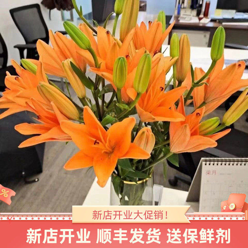 稀有橙色亚百合云南昆明斗南鲜花基地直发花束花卉顺丰