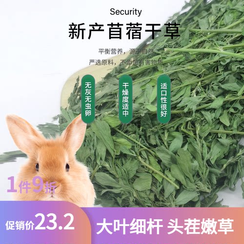 幼兔毛重1000克紫花苜蓿草