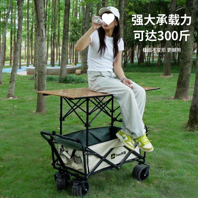 升降露营推车营地拖车户外可折叠野营手拉车野餐车摆摊小推车代发