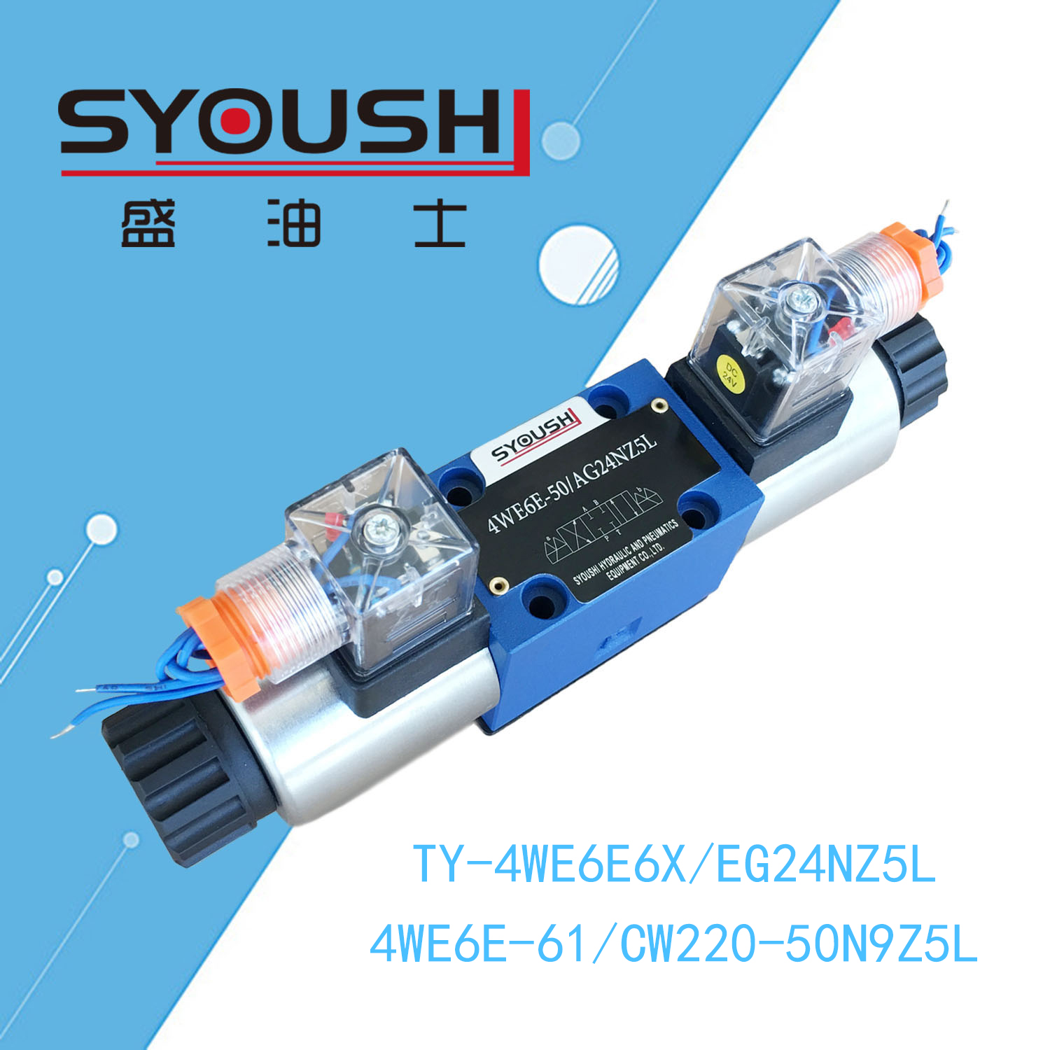 电磁换向阀TY-4WE6E6X/EG24NZ5L.4WE6E-61/CW220-50N9Z5L方向阀