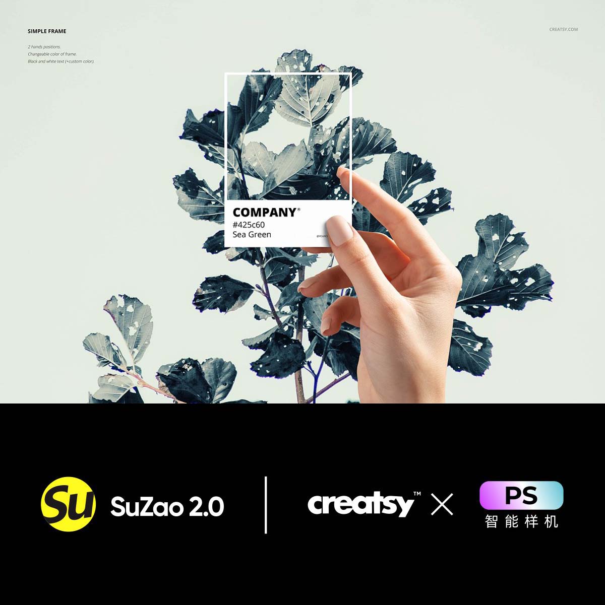 颜色匹配色卡标准模型组psd样机品牌设计标签贴图展示creatsy素材