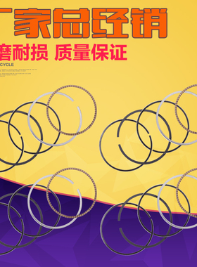 适用KAWASAK配件川崎西风 ZRX400 蝶灯400  ZXR400 ZZR400 活塞环