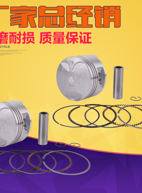 适用HONDA 本田雷 steed400 沙都400 大蚂蚁 BO400 铁马400活塞环