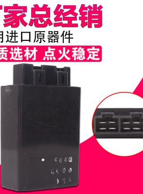 摩托车 适用本田 铁马400 铁马600大蚂蚁/BR0S400 STEED 点火器