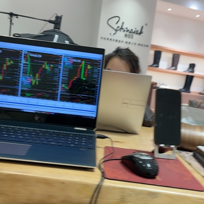 设计师款轻奢女鞋手机支架 XAUUSD 插件 1对1 讲解