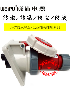 WEIPU威浦工业插头TYP173配暗装斜式TYP3619 防水IP67 4芯16A