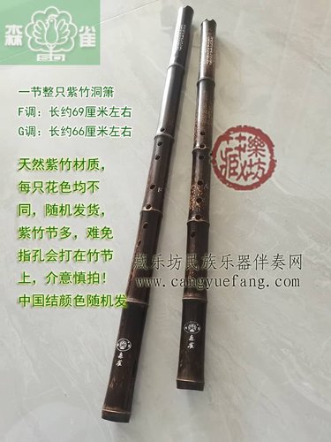 森雀一节初学者入门紫竹洞箫FG调