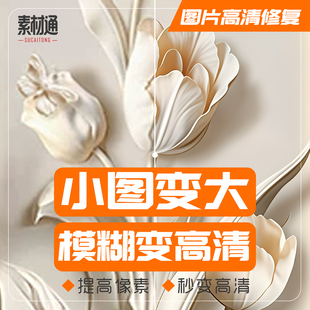 小图变大模糊图变清晰图片处理图片高清修复专业人工淘宝图片找图