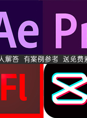 AE PR FL 剪映 作业作品 动画特效视频模板 问题解答远程教学指导