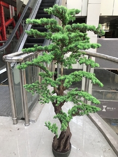 仿真植物假树过胶罗汉迎客松树落地装 饰绿植客厅带盆套装 包邮 花i.