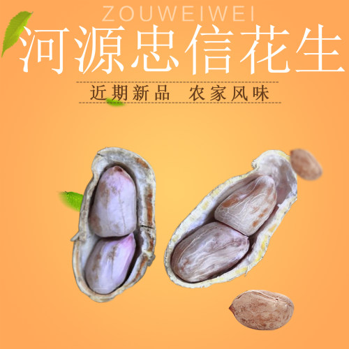 广东河源特产忠信花生500g水煮